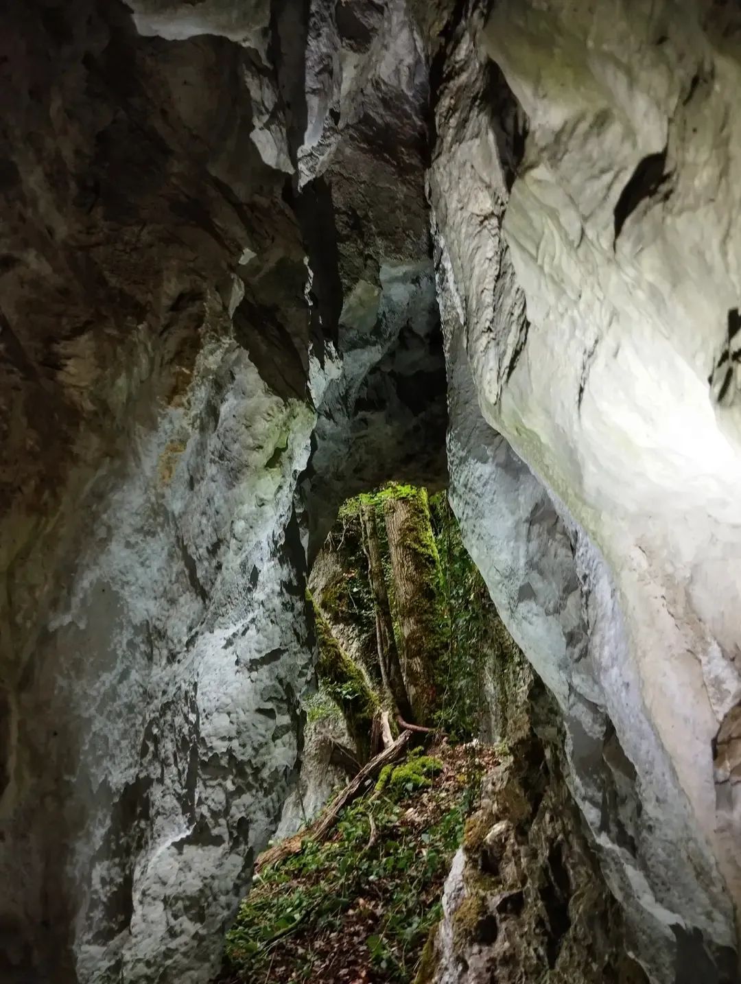 Val Suzon - grotte de Grande Combe numéro 1 - entrée cavité vue de l intérieur photo 2, Aurélien Bloch.jpg
Cavité vue de l'intérieur.
Fichier manquant